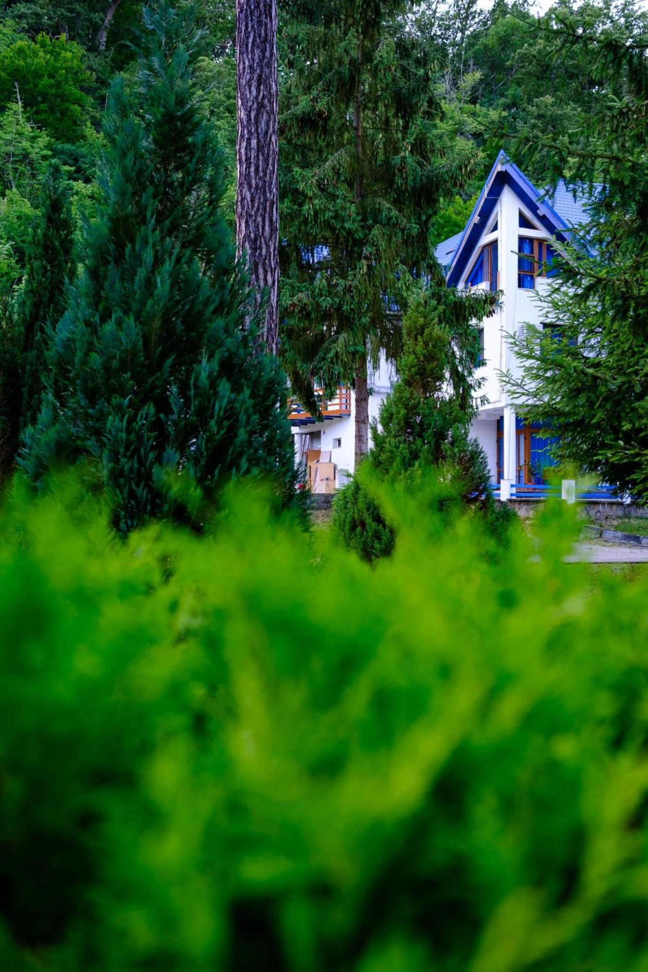 Hotel Parc Feredőgyógy Kültér fotó